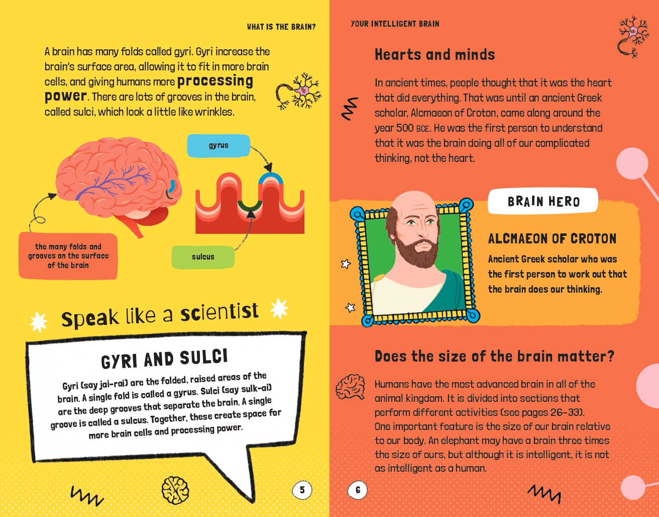 Very Short Introductions for Curious Young Minds: Your Intelligent Brain