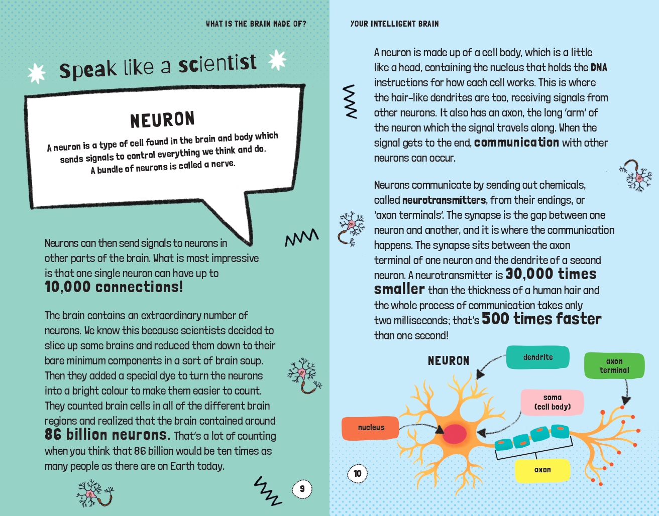 Very Short Introductions for Curious Young Minds: Your Intelligent Brain