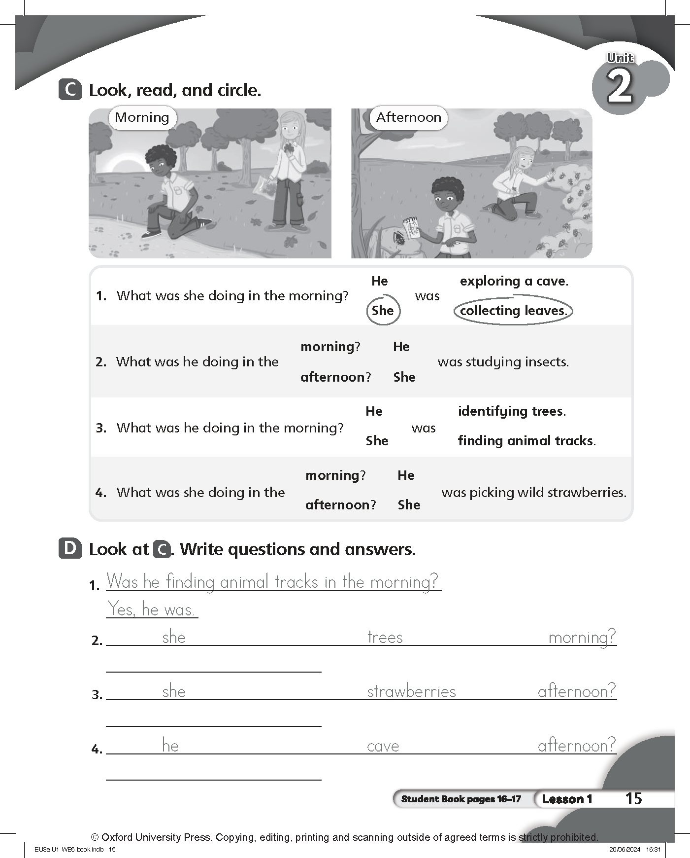 Everybody Up 3rd Edition: Level 5: Workbook