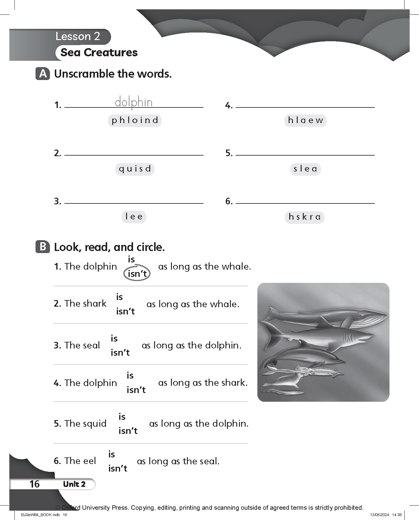 Everybody Up 3rd Edition: Level 4: Workbook