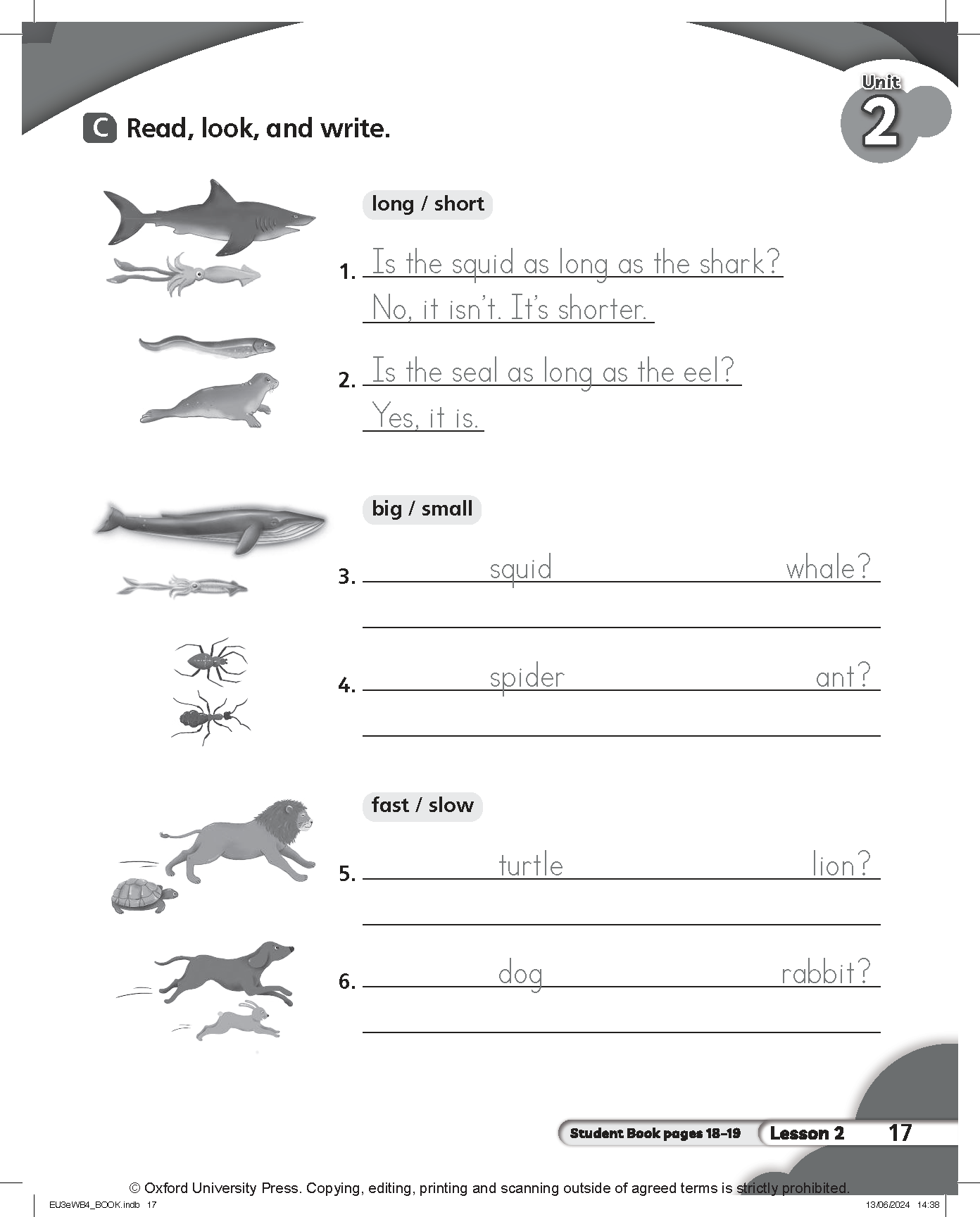 Everybody Up 3rd Edition: Level 4: Workbook