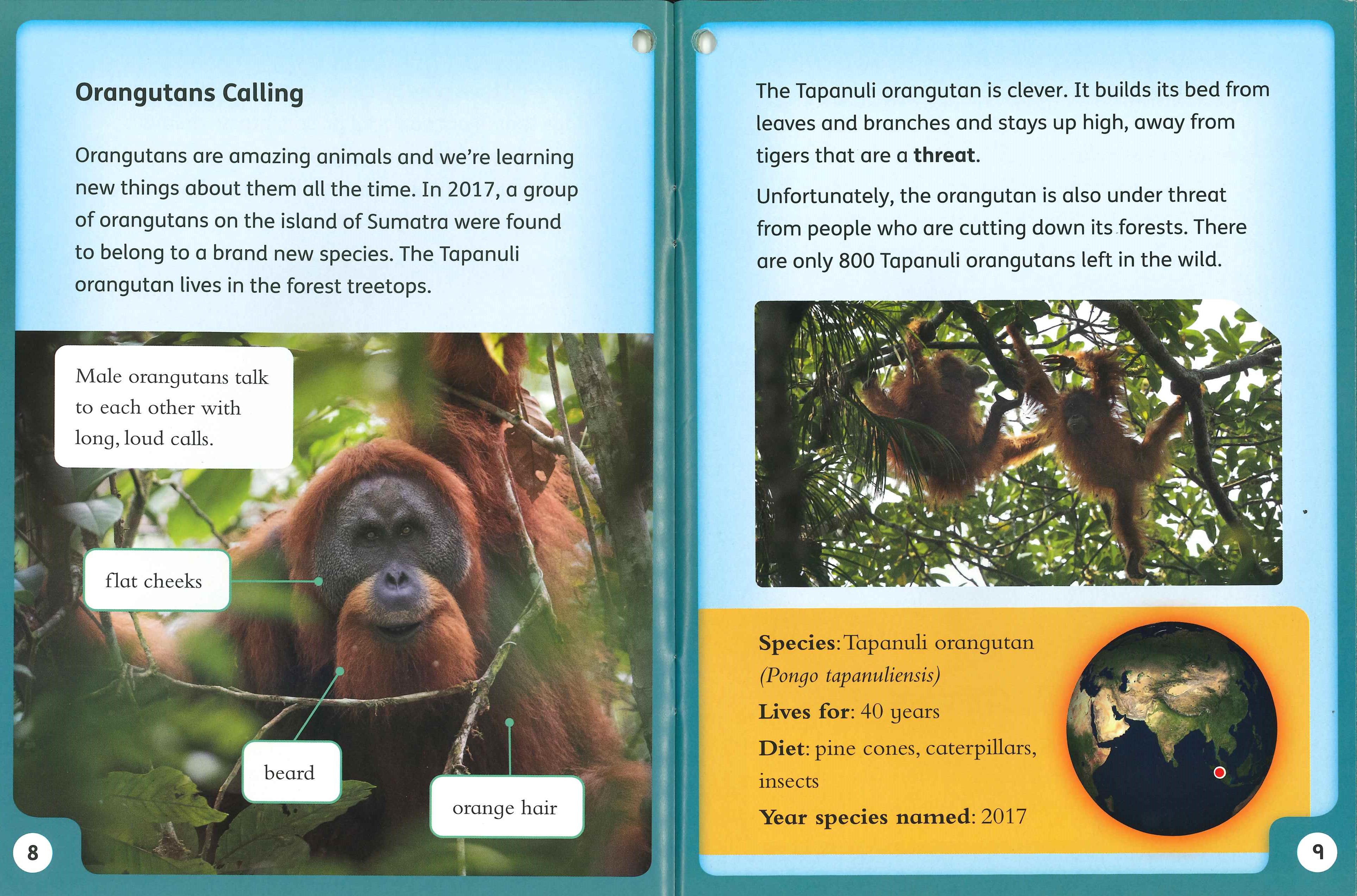 Oxford Reading Tree Word Sparks: Levels 1-12: Singles Pack