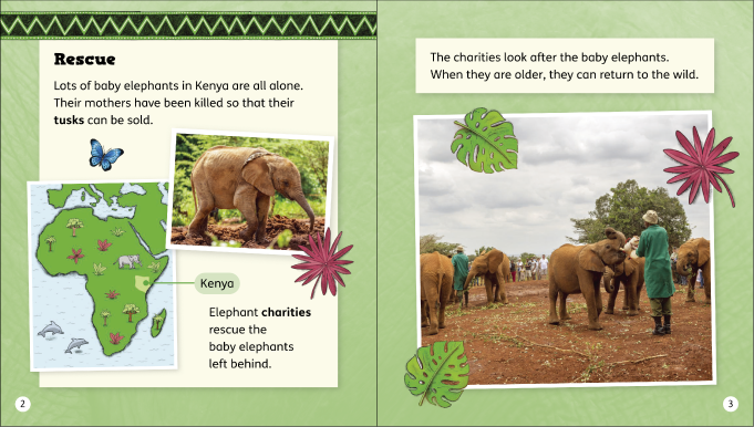 Oxford Reading Tree: Green Sparks: Level 6: Pack of 6