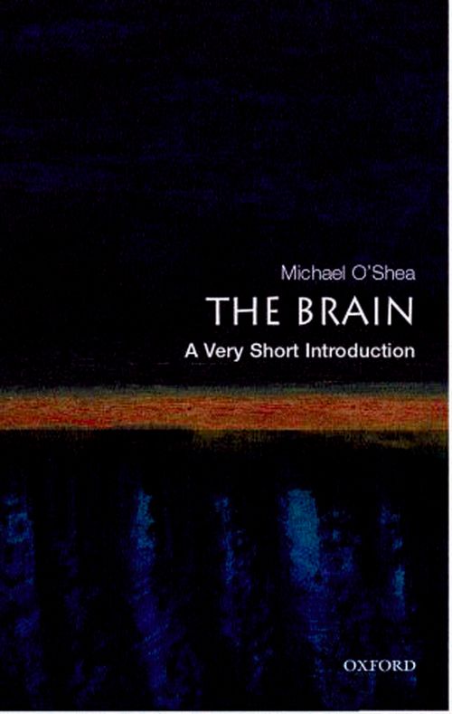 The Brain: A Very Short Introduction