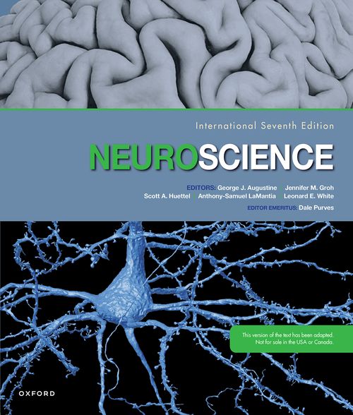 Neuroscience (International 7th edition)