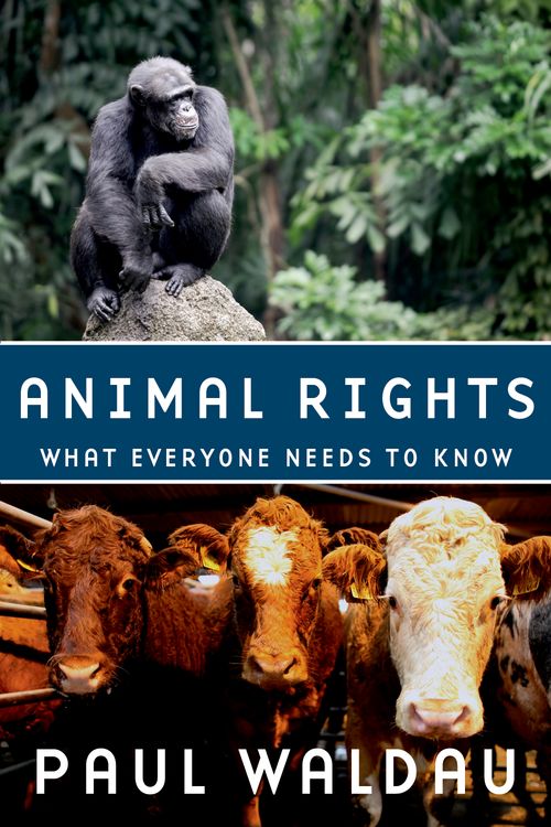 Animal Rights: What Everyone Needs to Know