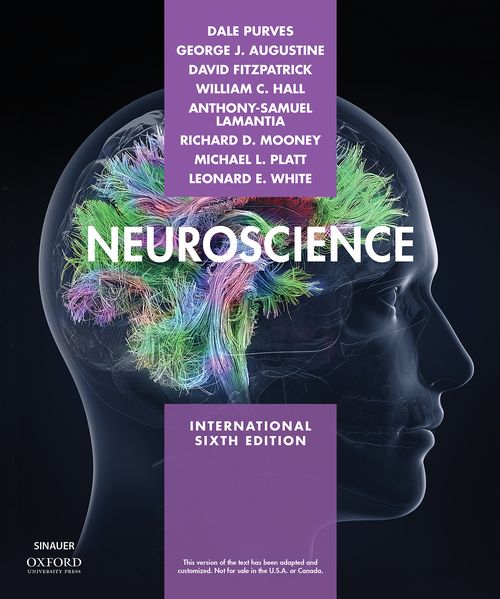 oxford university neuroscience phd