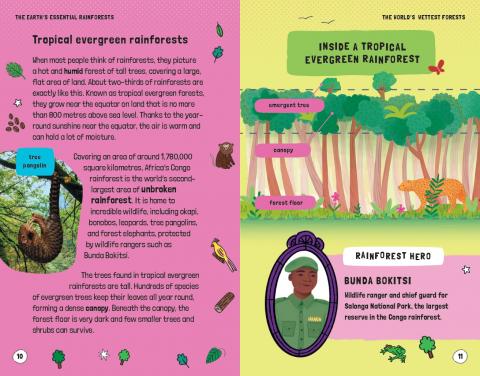 Very Short Introductions for Curious Young Minds: The Earth's Essential Rainforests