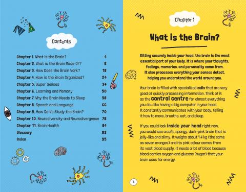 Very Short Introductions for Curious Young Minds: Your Intelligent Brain