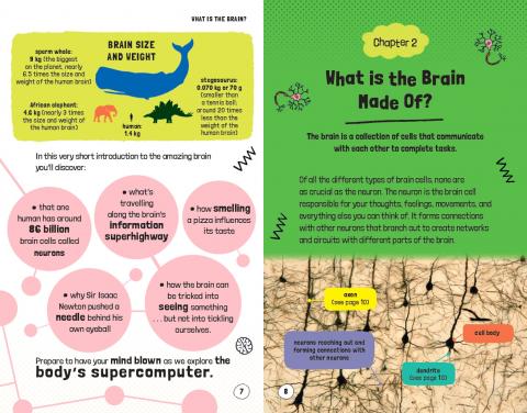 Very Short Introductions for Curious Young Minds: Your Intelligent Brain