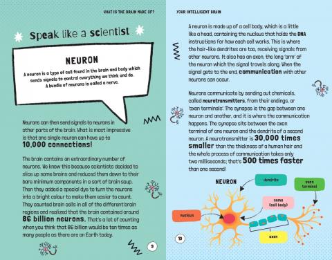 Very Short Introductions for Curious Young Minds: Your Intelligent Brain