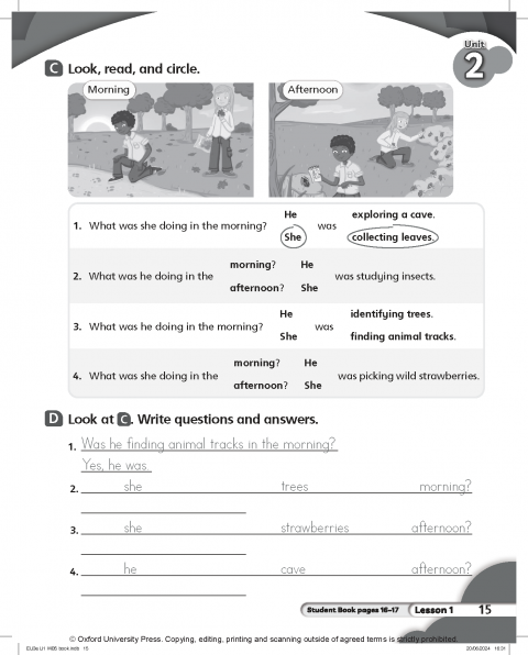 Everybody Up 3rd Edition: Level 5: Workbook