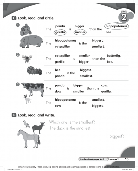 Everybody Up 3rd Edition: Level 4: Workbook
