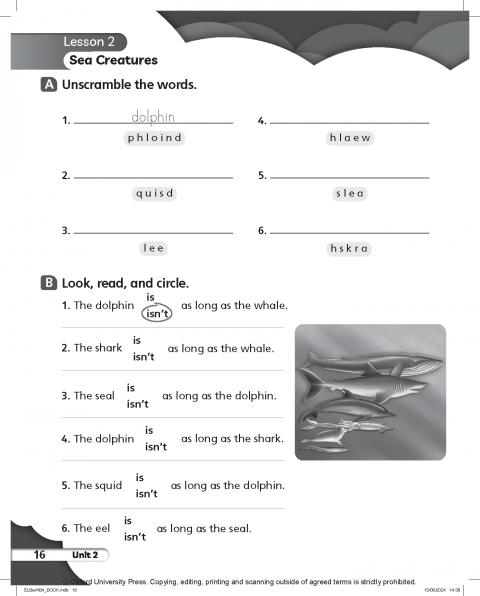 Everybody Up 3rd Edition: Level 4: Workbook