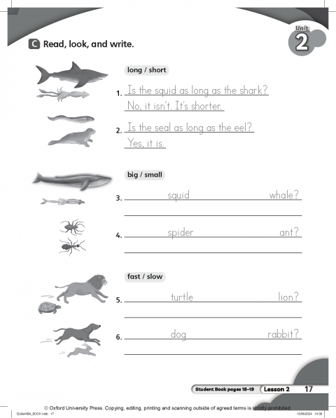 Everybody Up 3rd Edition: Level 4: Workbook