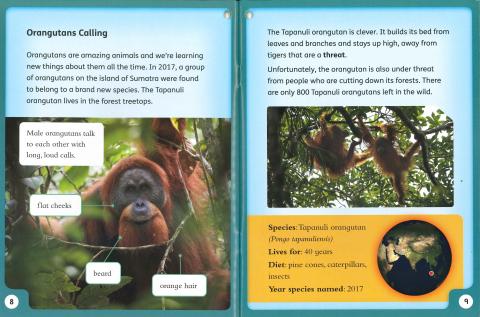 Oxford Reading Tree Word Sparks: Levels 1-12: Singles Pack