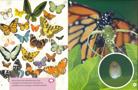 Oxford Reading Tree Word Sparks: Levels 1-12: Singles Pack