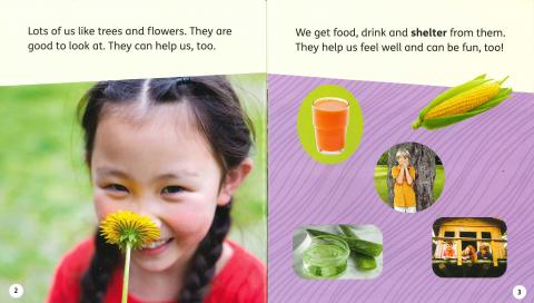 Oxford Reading Tree: Floppy's Phonics Decoding Practice: Levels 1+ - 5: Singles Pack