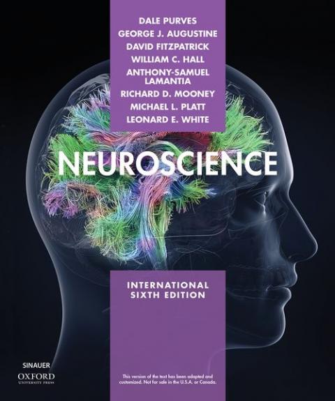 Neuroscience (6th international edition)